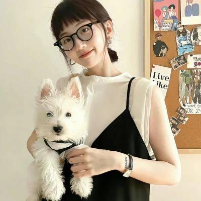 无爱理想国